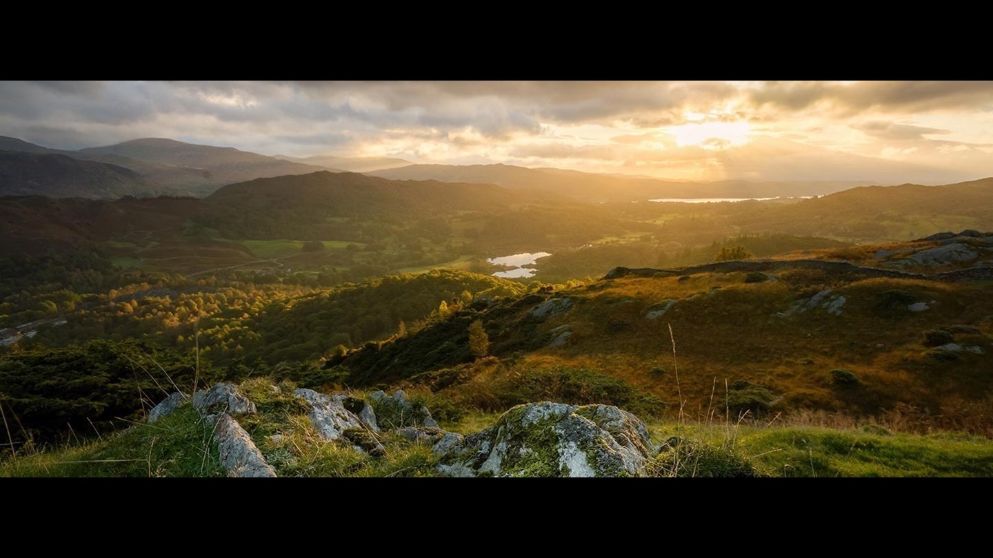 Ireland fields